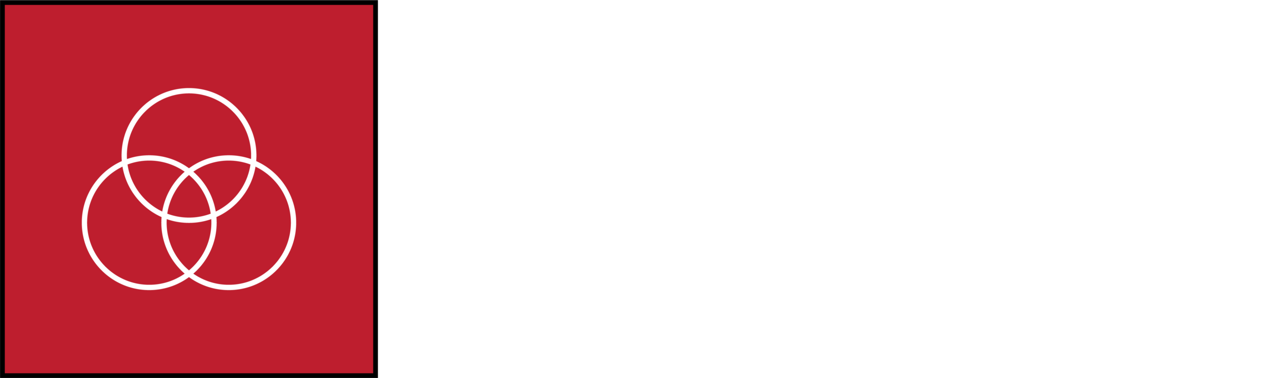LiteRange Technologies | Indoor Shooting Simulator